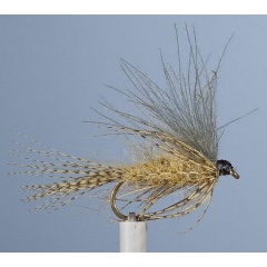 JMC Emerging Fly 6. Mai H12