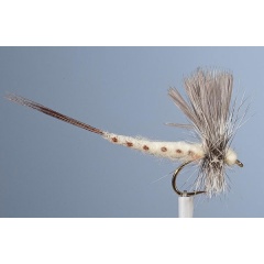 JMC Ephemeral Trockenfliege JMC Mai 11 H10