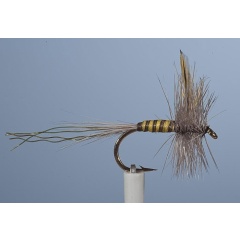 JMC Ephemeral Trockenfliege JMC Mai 3 H10