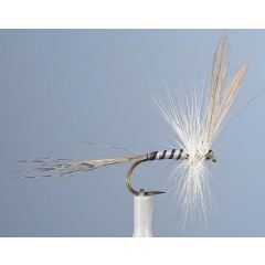JMC Ephemeral Trockenfliege JMC Mai 5 H10