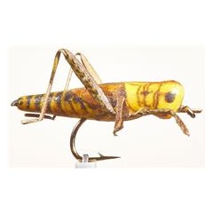 JMC Grashüpfer Fliege 24 H10