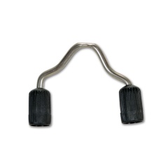 ImersionTahiti-Muschel