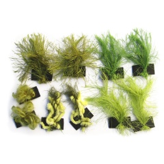 Dekorationsset Quallenschutzhaube Pikotech Infinity Green Hood