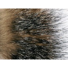 JMC Haar JMC Rotfuchs