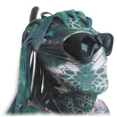 Kopfhaube Kryptische Posidonia