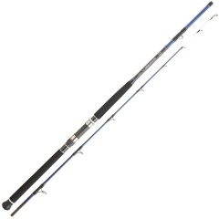 Canne Spinning Daiwa Powermesh Boat