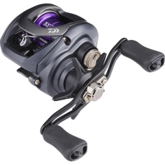 Moulinet casting Daiwa Prorex 20 PE SVTW 100 HSL