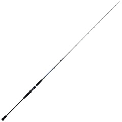 Angelrute zu Angel Daïwa Saltiga Deep 55