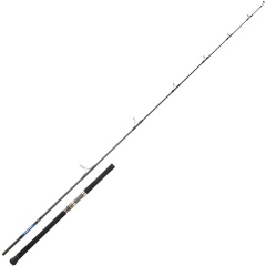 Daiwa Saltiga Lancer Spinnrute