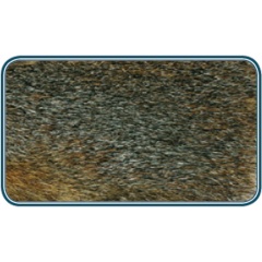 JMC Eichhörnchen auf Haut