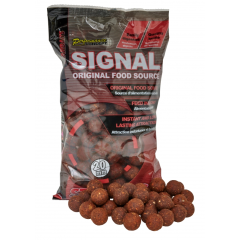 Boilies Starbaits Performance Concept Signal - 20mm 2.5kg
