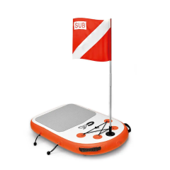 Speerfischen board C4 Cruiser