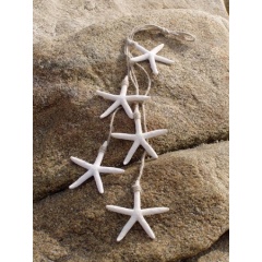 DécomarineWeiße Polyresin-See-Sterne - Satz von 5