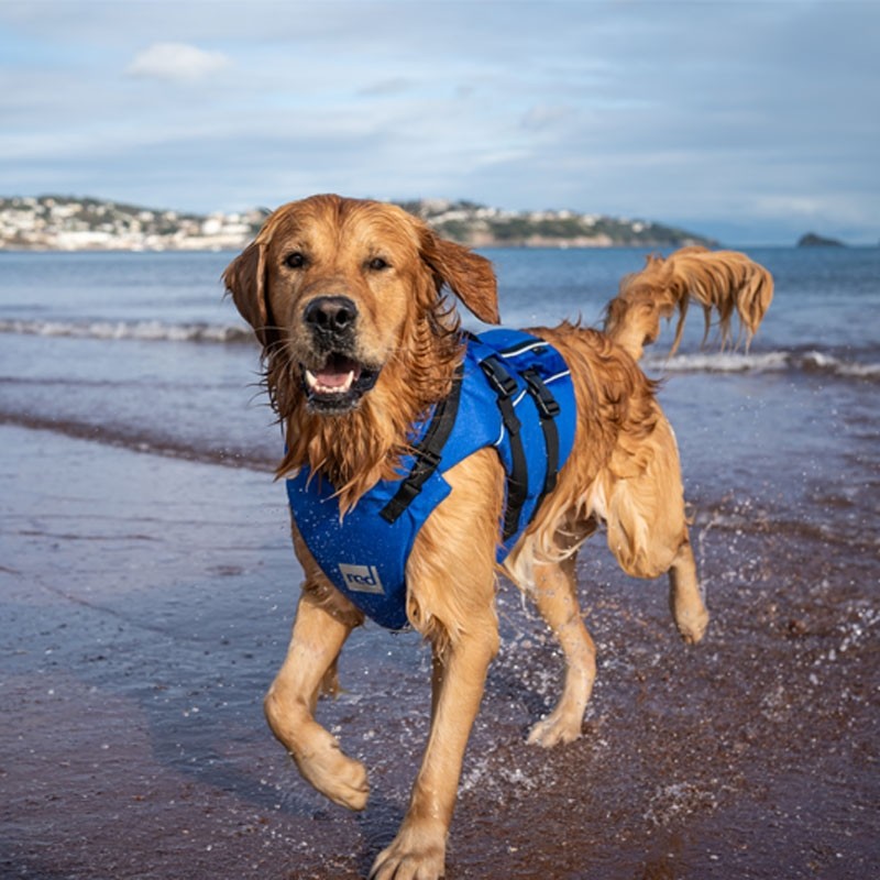 Gilet de sauvetage pour chien Red Paddle