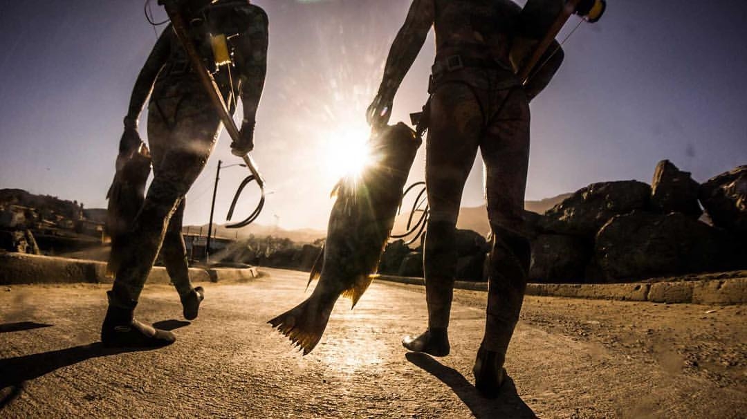 arbalete chasse sous marine 2 Harpune Speerfischen 2