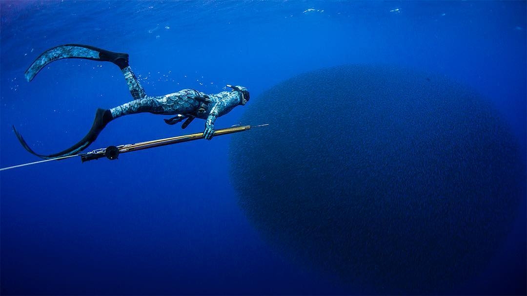 arbalete chasse sous marine 3 Harpune Speerfischen 3