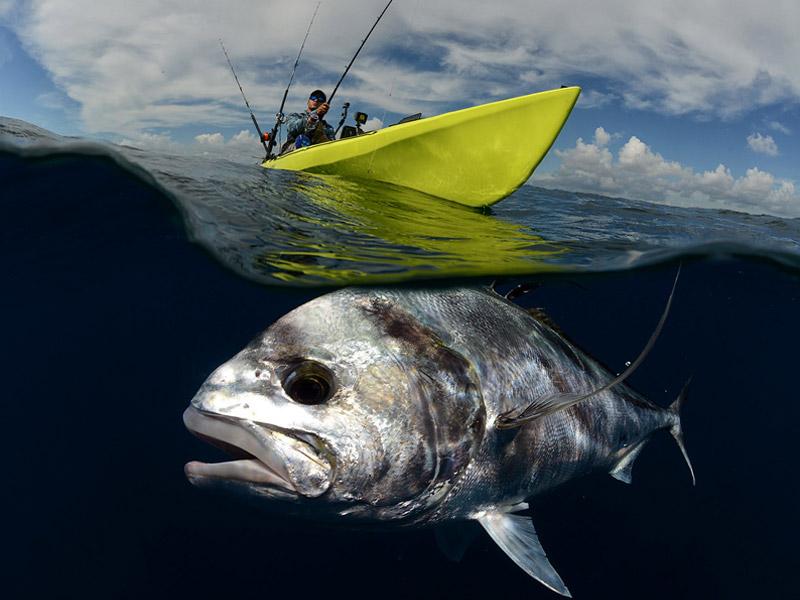 Kennen Sie Kajakangeln?