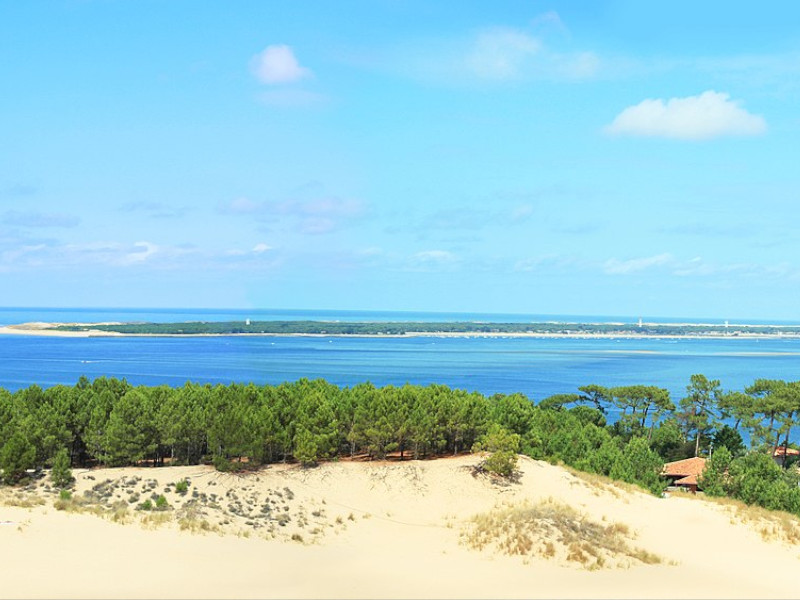 faire du paddle a arcachon paddle a arcachon