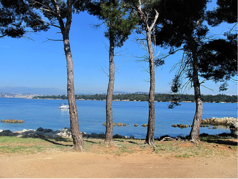 ou faire du paddle cannes paddle cannes