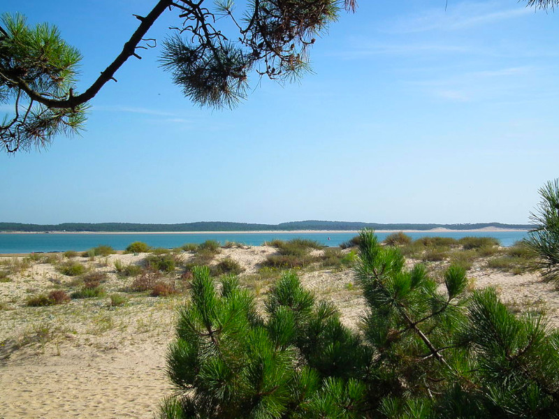 faire du paddle sur l'ile d'oleron paddle ile d'oleron