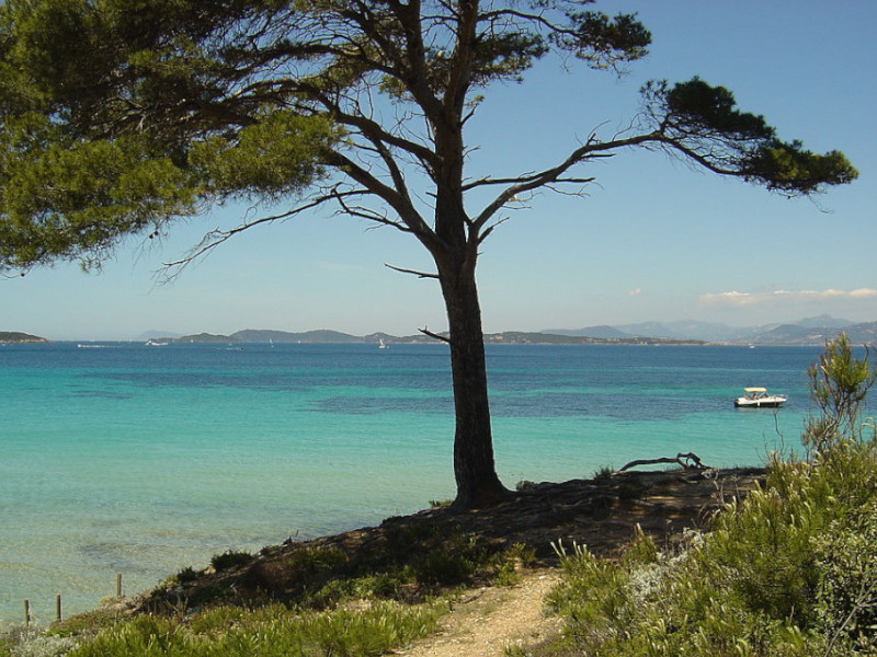 paddeln in porquerolles paddle porquerolles