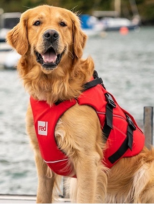 Schwimmweste Hund Schwimmweste für Hunde