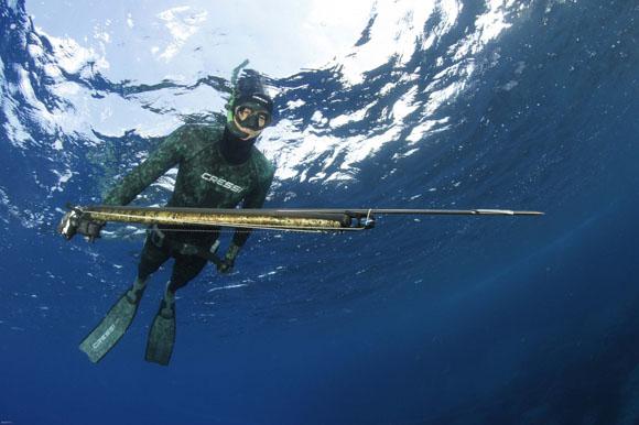 Harpune Speerfischen