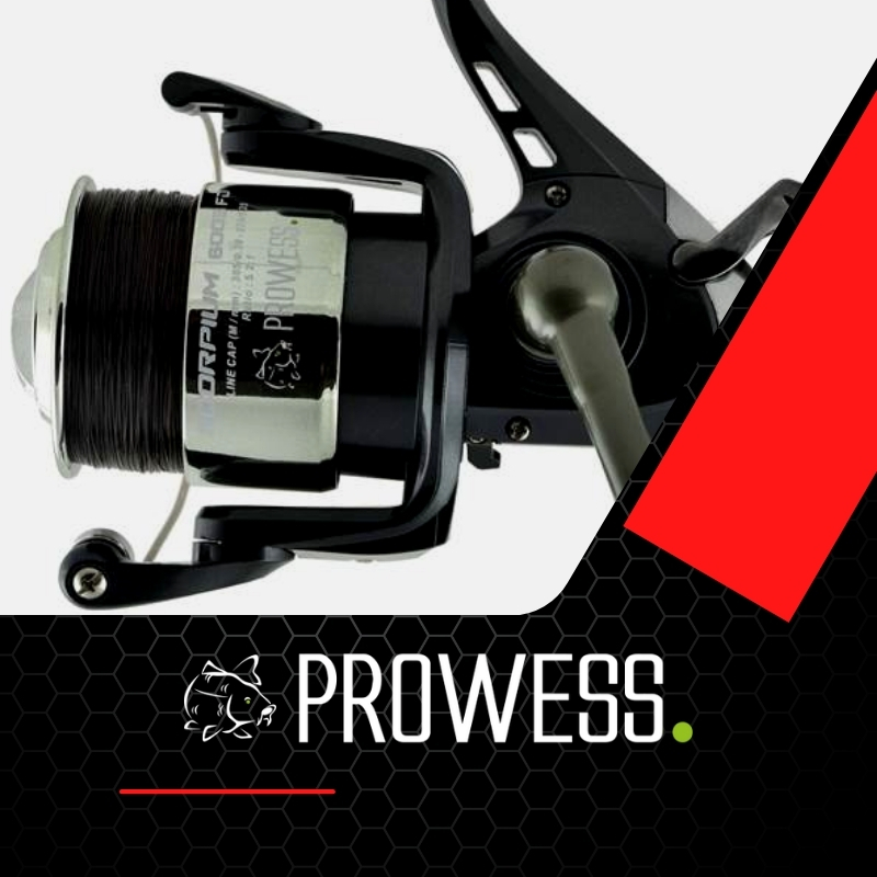 Rolle Prowess Raubfisch