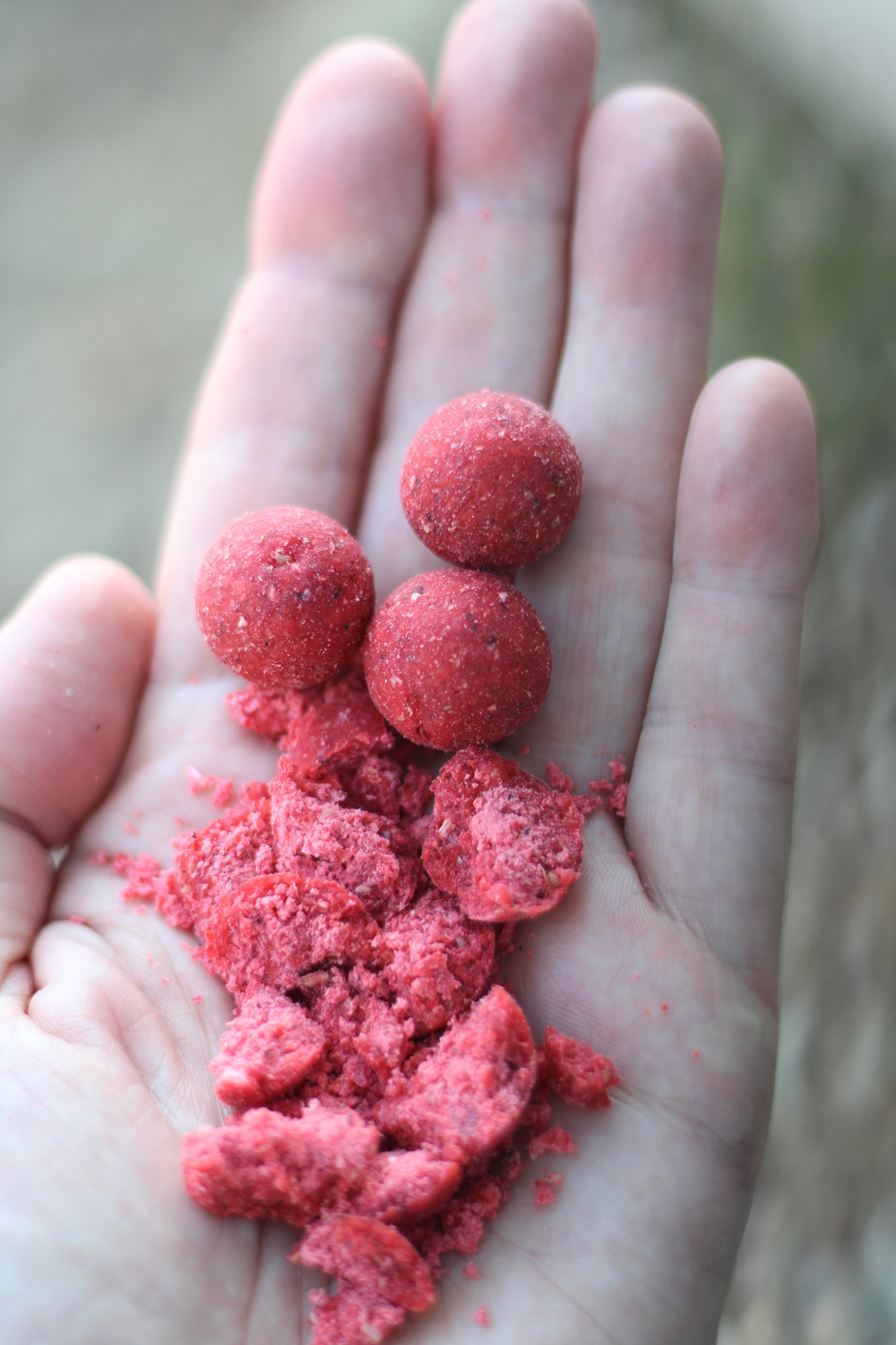 Bouillettes rouges