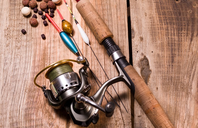 Karpfenrute Karpfenrute