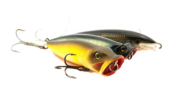 oberflächenköder Oberflächenköder