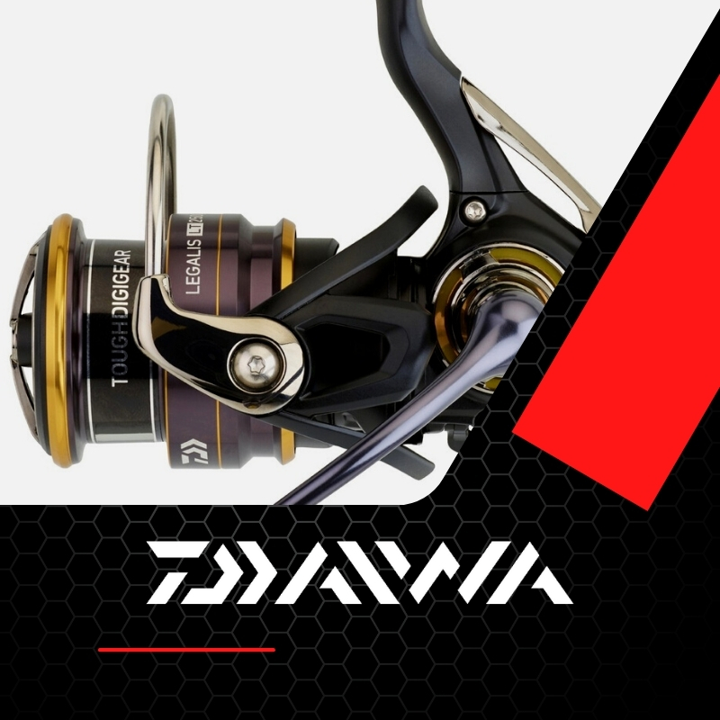 Daiwa Raubfisch Rolle