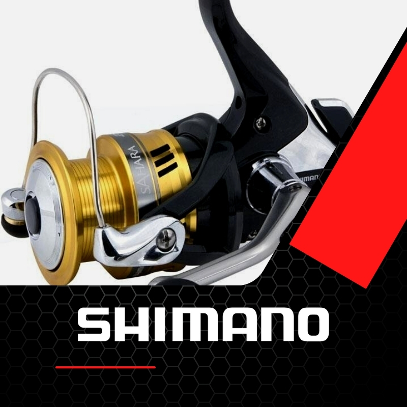 Raubfisch Rolle shimano