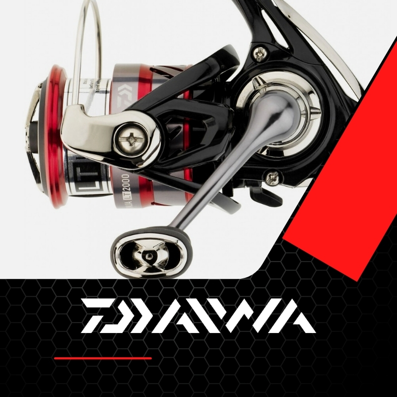 Rolle Forellen Angeln Daiwa