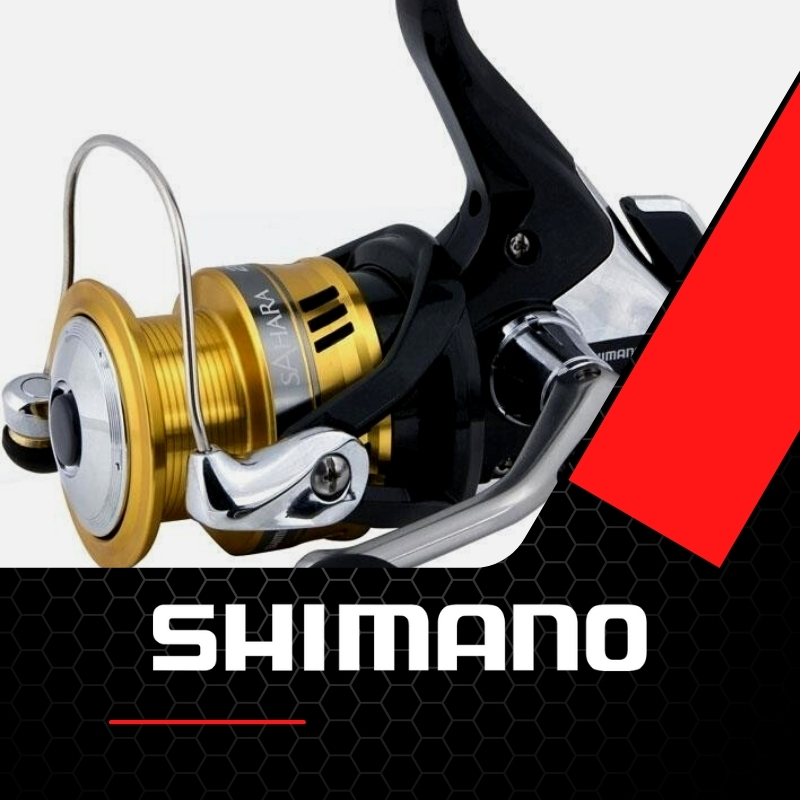 Rolle Forellen Angeln Shimano
