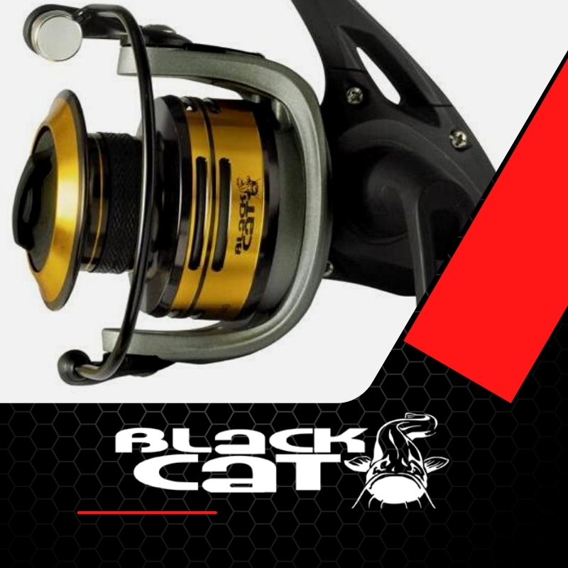 Welsrolle black cat