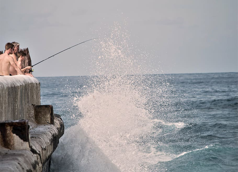 Pêche canne surf casting