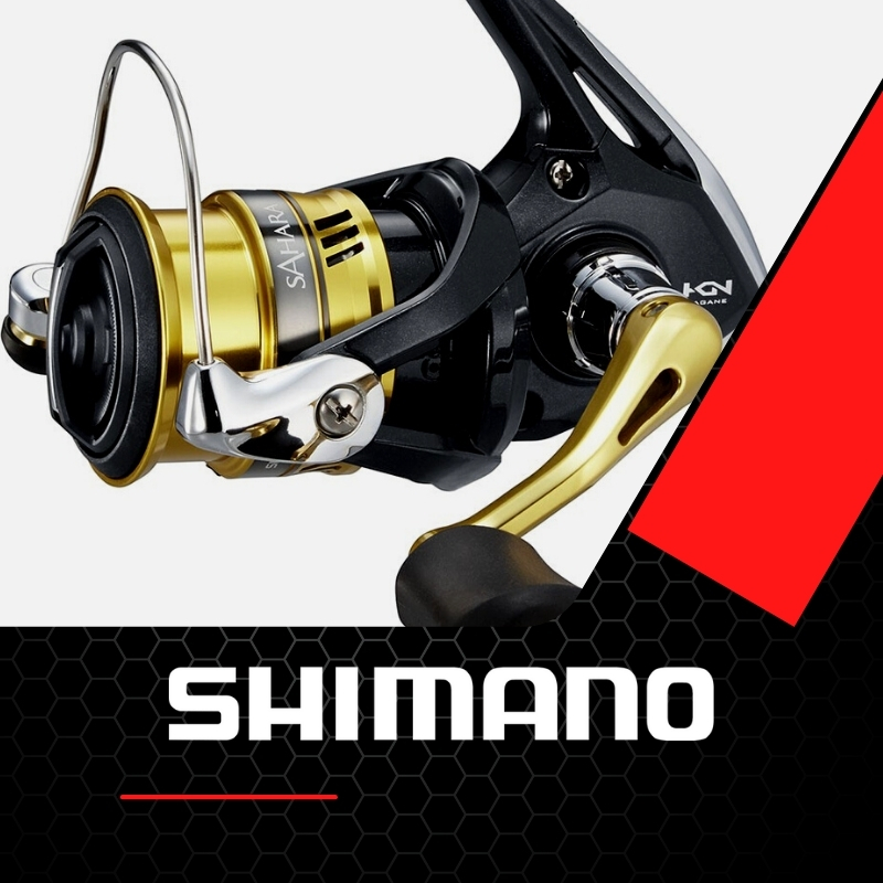 Forellenrolle Shimano