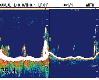 Side Imaging-Funktion