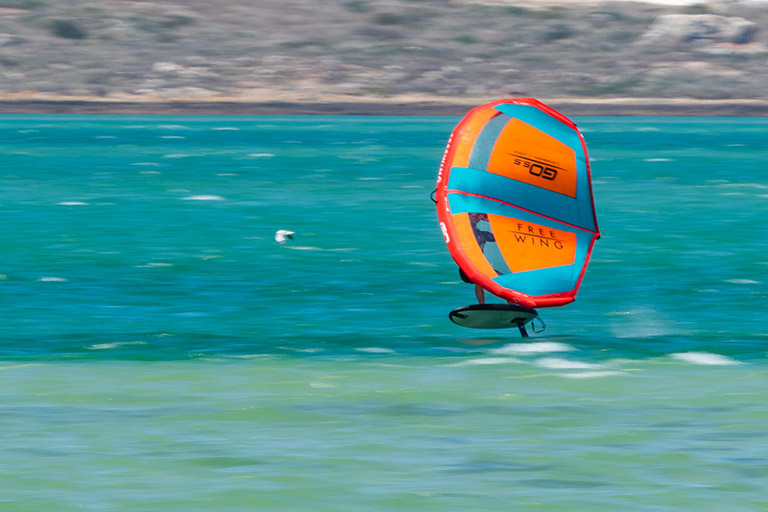 freewing go