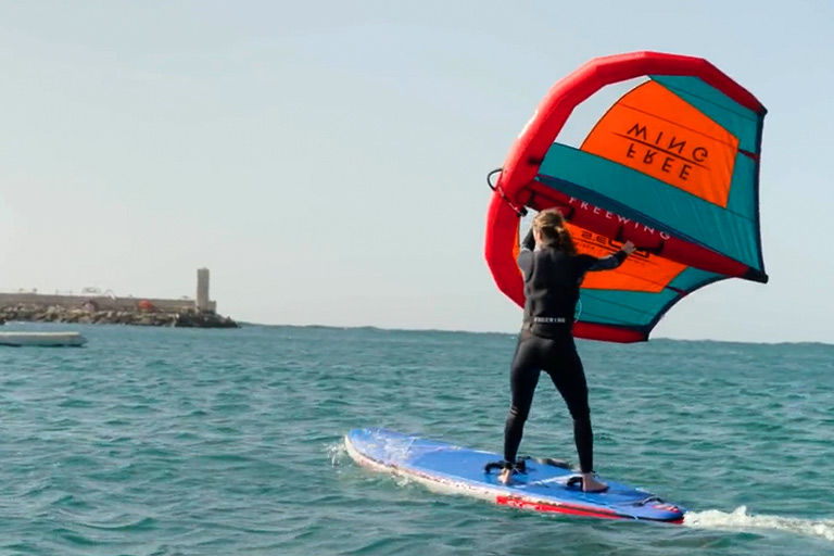 freewing go