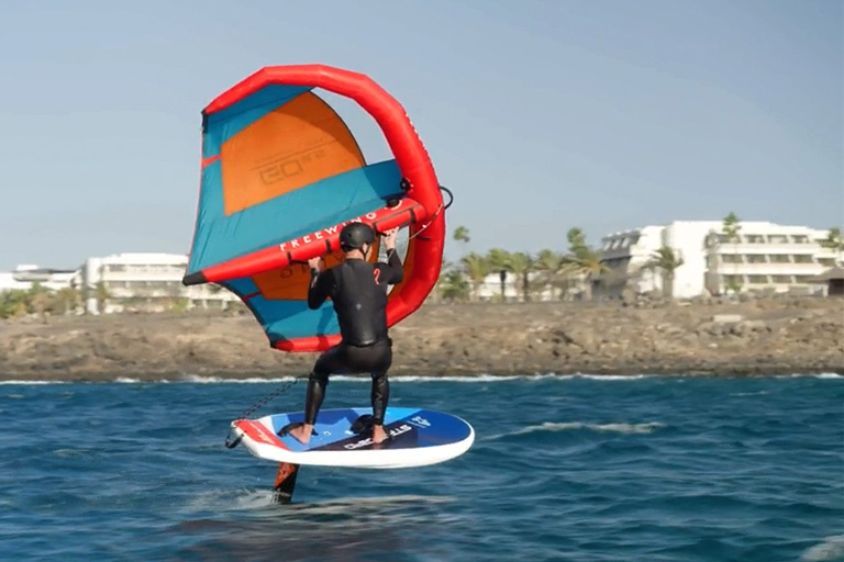 freewing go